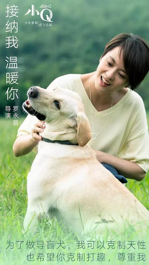 做假征信报告